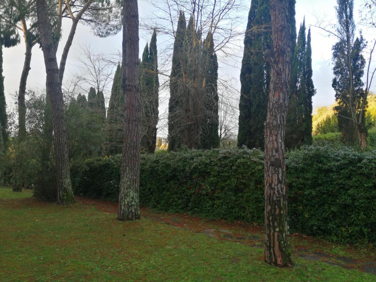 Due Passi Nel Parco Con Parcheggio Gratuito Apartamento Florença Exterior foto